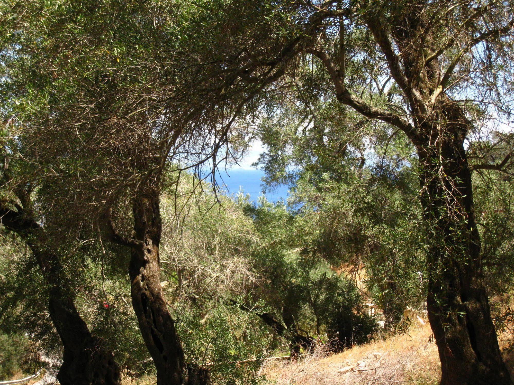 Ξενοδοχείο Αδαμαντία Γάιος Εξωτερικό φωτογραφία